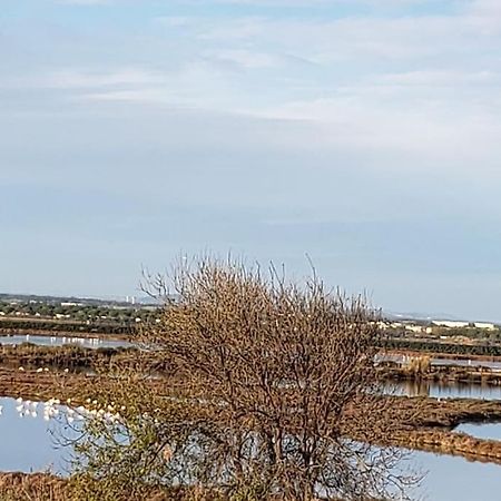 Studio Refait A Neuf Ave St Maurice Palavas-les-Flots Exteriér fotografie