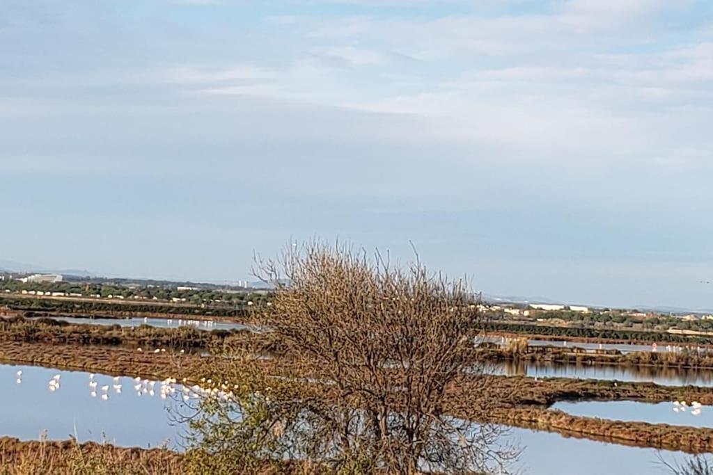 Studio Refait A Neuf Ave St Maurice Palavas-les-Flots Exteriér fotografie